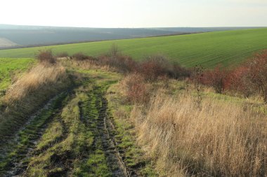 Çimen tarlası ve yolu olan güzel bir manzara.