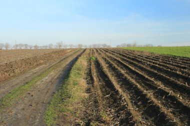 plowed land in a field of spring