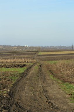 Kırsal alan. Köydeki tarlalara giden yol.