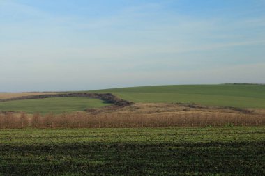 beautiful landscape of green fields in the countryside