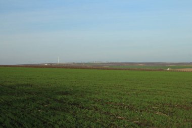green field and a large road in the background.