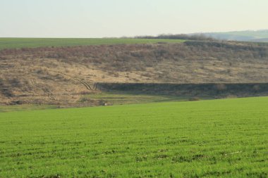 bahar tarlası, bahar manzarası