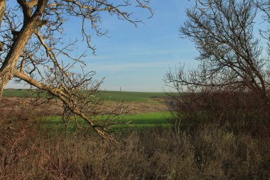 Doğanın güzel manzarası