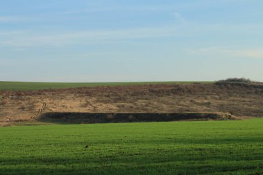 Güzel bir manzara. Doğa arkaplanı