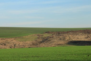 Yeşil çimenli ve mavi gökyüzüyle manzara