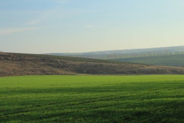 Baharda yeşil alan.