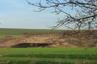 spring landscape. green field, blue sky, white clouds, blue sky.