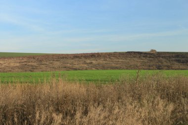 Kuru çimenleri ve mavi gökyüzü olan yeşil alanlar.