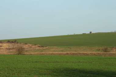 Ağaçlı ve yeşil tarlalı manzara