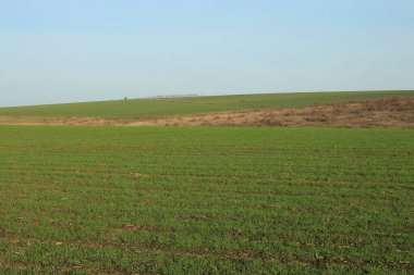 Kırsal alanda yeşil alan