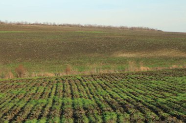 Kırsal manzarası çok güzel.