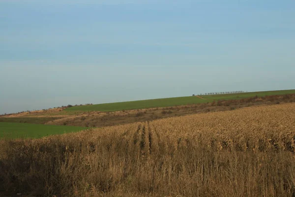 Kırsal manzarası çok güzel.