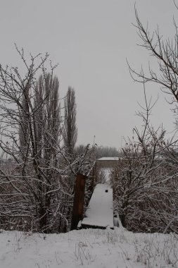 Karla kaplı ağaçlarla kaplı kış manzarası