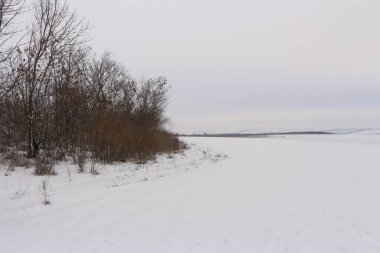 Karla kaplı ağaçlarla kaplı kış manzarası