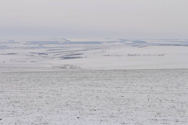 Karla kaplı ağaçlarla kaplı kış manzarası