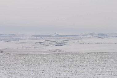 Karla kaplı ağaçlarla kaplı kış manzarası