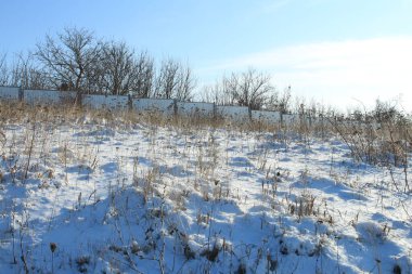Karlı kış manzarası - ağaçlarla kaplı