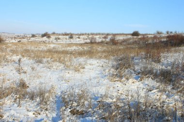 Kar ve ağaçlarla kaplı kış manzarası