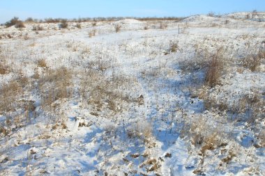 Kış manzarası. Ağaçlar kar kaplı