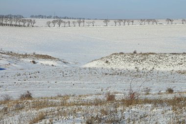 Karlı kış manzarası