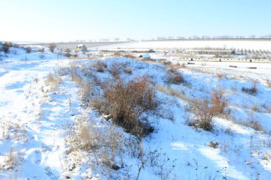 Karlı kış manzarası - ağaçlarla kaplı