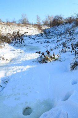 beautiful winter landscape with river and snow