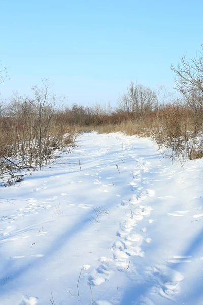 Güneşli bir kış manzarası.