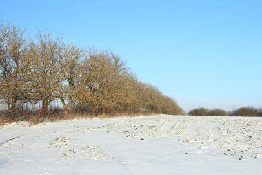 kar ve mavi gökyüzü ile manzara