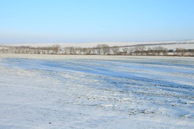 Karlı kış tarlası