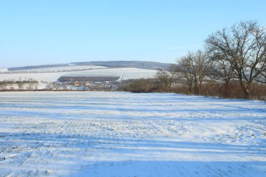 Karla kaplı ağaçlarla kaplı kış manzarası