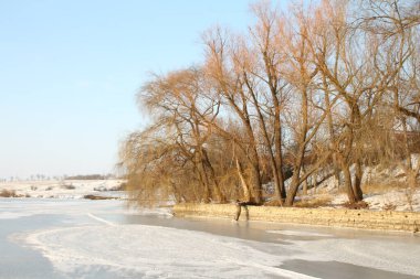 Karla kaplı ağaçlarla kaplı kış manzarası