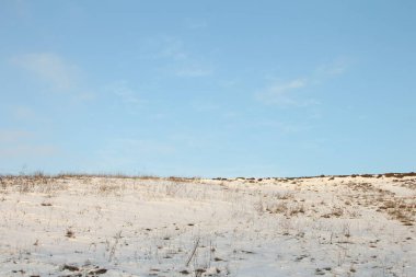 Kış manzarası, karla kaplı orman