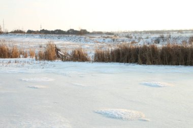 Karlı kış manzarası - ağaçlarla kaplı