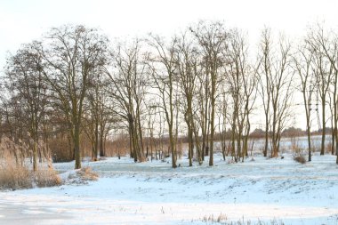 Winter park, güneşli bir gün