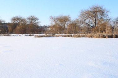 Kışın Donmuş Göl