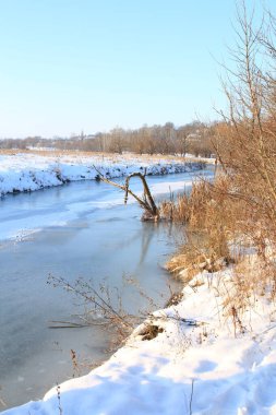 Nehir ve ağaçla kaplı kış manzarası