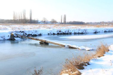 Karla kaplı ağaçlarla kaplı kış manzarası