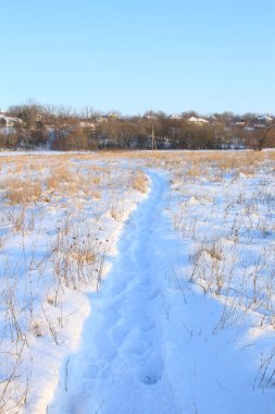 Soğuk bir günde karla kaplı çimlerin arasında bir kış patikası.
