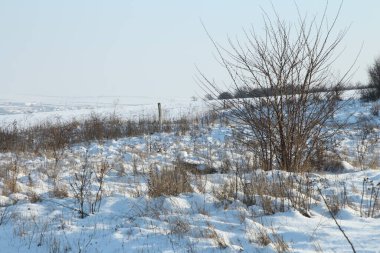 Karla kaplı ağaçlarla kaplı kış manzarası