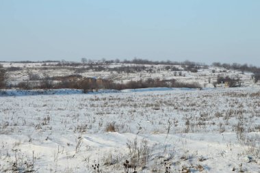 Karla kaplı ağaçlarla kaplı kış manzarası