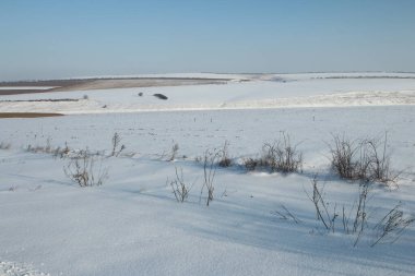 Kış manzarası karla kaplı ağaçlar, doğa