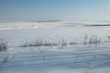 Ormandaki güzel kış manzarası.