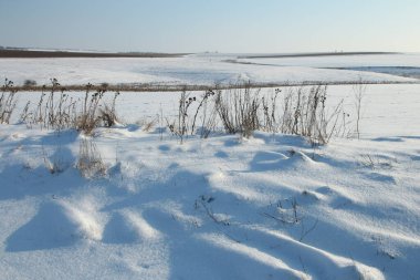Kış alan karla kaplı