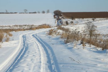 Kış manzarası karla kaplı tarlalar ve ağaçlar. Karlı kış manzarası.