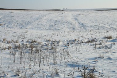 Karlı kış manzarası