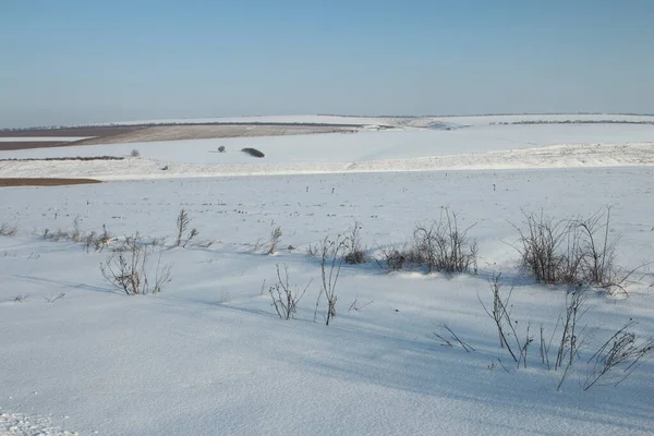 Kış manzarası karla kaplı ağaçlar, doğa