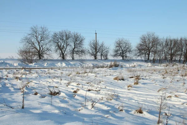 Karla kaplı ağaçlarla kaplı kış manzarası