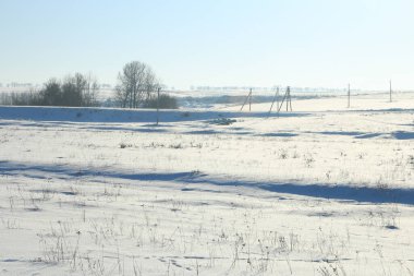 Karla kaplı ağaçlarla kaplı kış manzarası