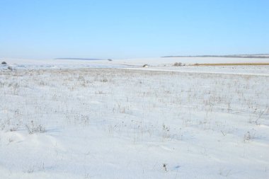 Güzel kış manzarası karla kaplı tarlalar.