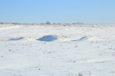 Karlı kış manzarası - ağaçlarla kaplı